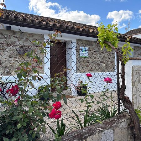 La Casa Vieja De Marchenilla Villa Jimena De La Frontera Luaran gambar